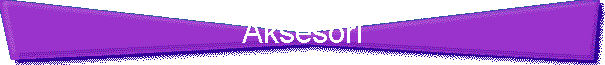 Aksesori