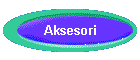 Aksesori
