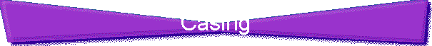 Casing