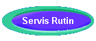 Servis Rutin